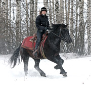 Activités d’hiver – Équitation