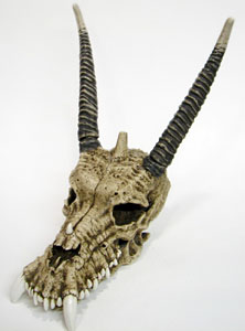 Crâne de Dragon