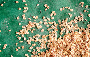 Superaliments : 5 recettes avec des céréales à grains entiers