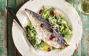 Superaliments : 5 recettes de poissons, fruits de mer, viandes et volailles