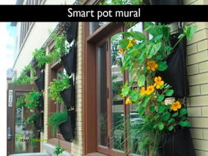 smart-pots-mur-3
