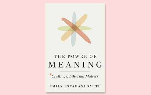 The Power of Meaning : Crafting a Life That Matters