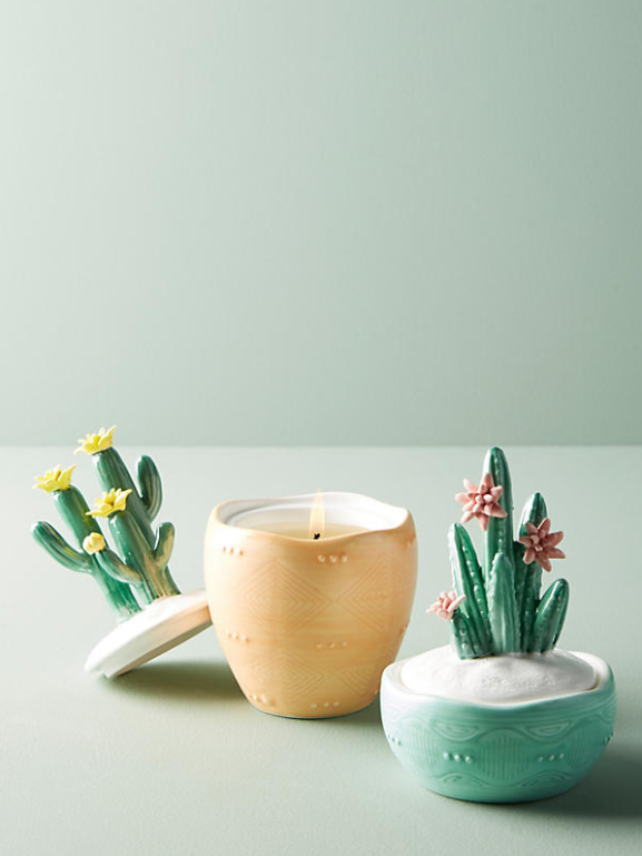 <h1>Bougie Yucca Capri Blue</h1>
<p><a href="https://www.anthropologie.com/fr-ca/shop/capri-blue-yucca-candle?category=SEARCHRESULTS&color=102" target="_blank">Anthropologie</a>, 28$</p>

