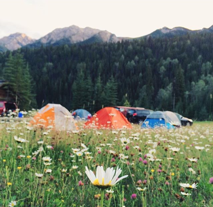 <p>Les tentes multicolores parmi les fleurs: joli! </p>
<p>Photo: @ldl_jr</p>
