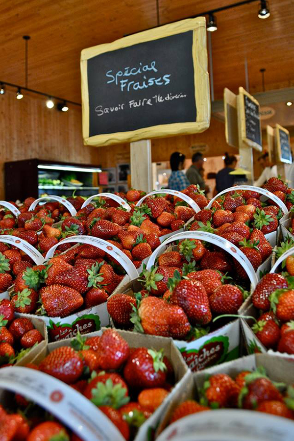 Les fraises de l’île d’Orléans