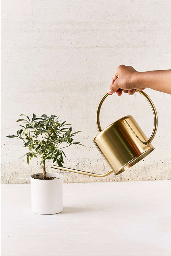 <h1>Arrosoir en laiton</h1>
<p><a href="https://www.urbanoutfitters.com/fr-ca/shop/loop-metal-watering-can?category=SEARCHRESULTS&color=070" target="_blank">Urban Outfitters</a>, 59 $</p>
