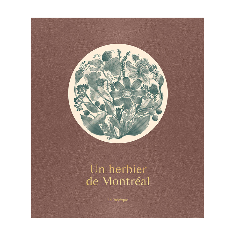 <p><em>Un herbier de Montréal</em>, Bertrand Laverdure, <a href="http://www.renaud-bray.com/Livres_Produit.aspx?id=2348746&def=Un+herbier+de+Montréal,LAVERDURE,+BERTRAND,9782897770266" target="_blank">La Pastèque</a>, 39,95 $</p>
