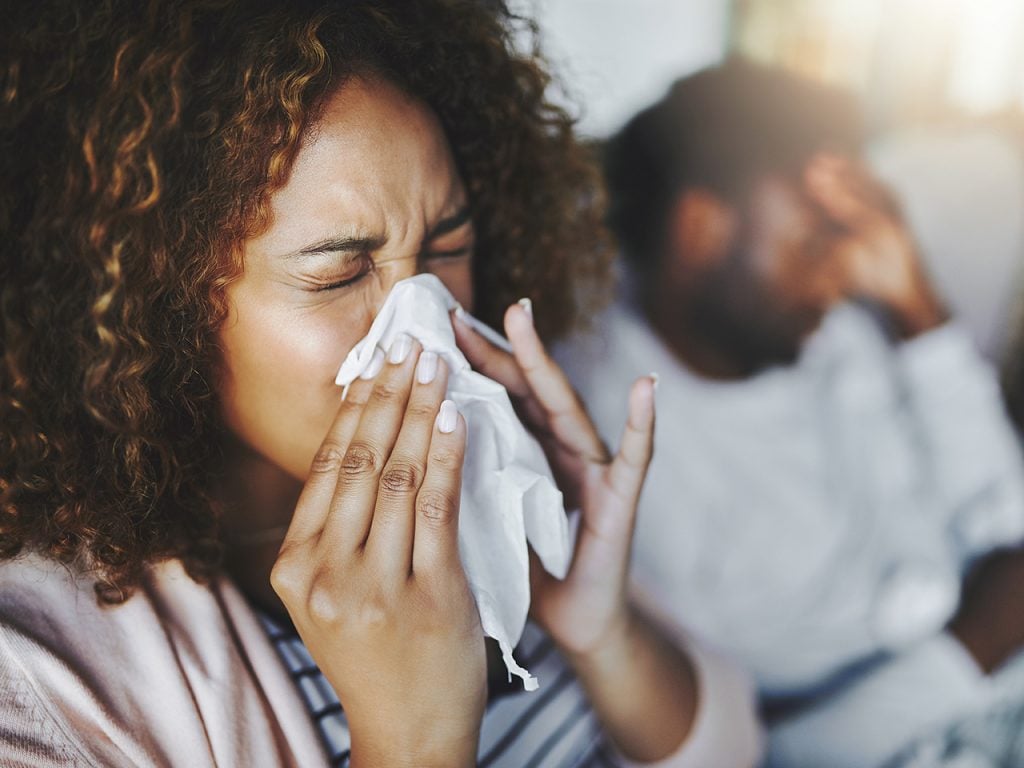 Ceux qui souffrent d’allergies devront prendre leur mal en patience.
