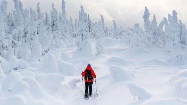 Les plus belles randonnées hivernales du Québec