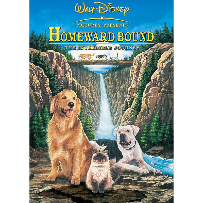 Retour au bercail: l’incroyable randonnée (Homeward Bound: the Incredible Journey) – 1993
