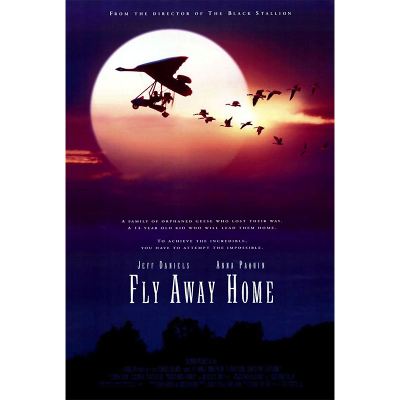 Le premier envol (Fly Away Home) – 1996