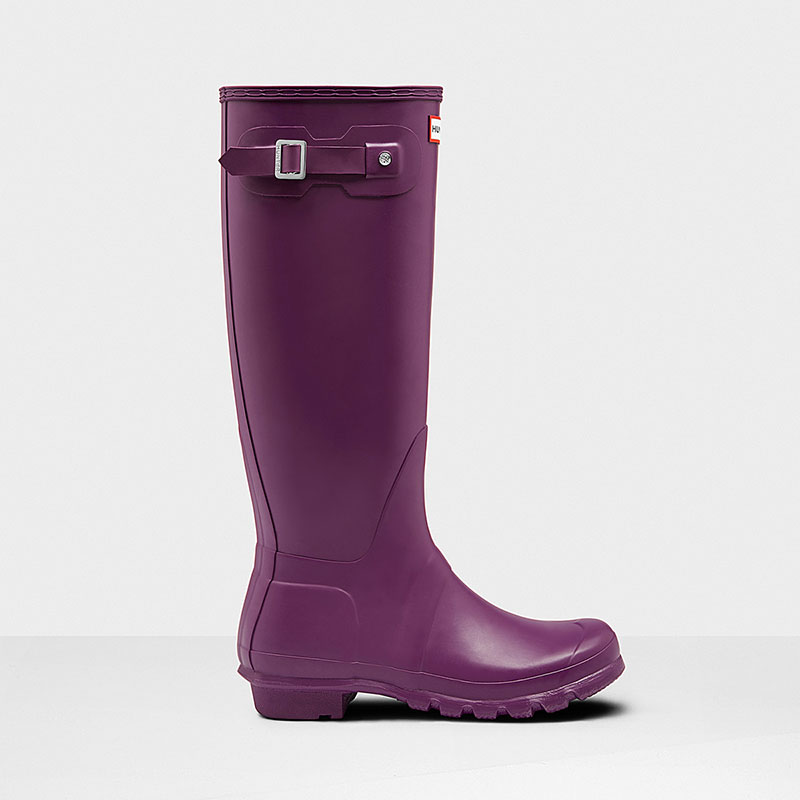 <p>Bottes, <a href="https://www.hunterboots.com/ca/en_ca/womens-tall-rain-boots/womens-original-tall-rain-boots/purple/2805" target="_blank" rel="noopener">Hunter</a>, 180 $</p>
