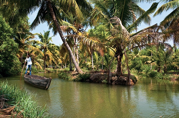 <p><span class="s1">P</span>as de doute, c’est le royaume des cocotiers. Il y en a partout. Ils longent les routes, bordent les plages et rehaussent la saveur des mets. Le toponyme «Kerala» signifie «terre des cocotiers», c’est tout dire. Moi qui raffole de l’eau rafraîchissante d’une noix de coco verte, scalpée à coups de couteau, je suis au paradis!</p>
