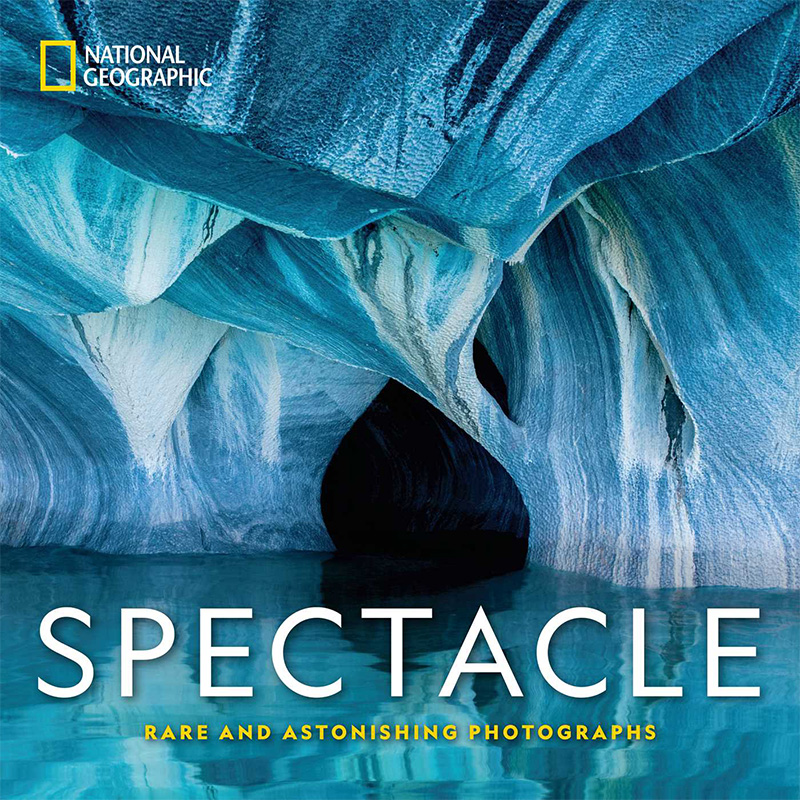 <p>Livre de photographie <em>Spectacle</em>, Collectif, National Geopgraphic, <a href="https://www.archambault.ca/livres/national-geographic-spectacle/collectif/9781426219689/?id=2539196&cat=1887110" target="_blank" rel="noopener">Archambault</a>, 50,00 $</p>
