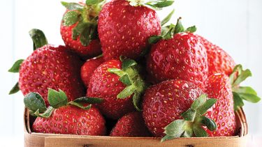 Les fraises en huit façons