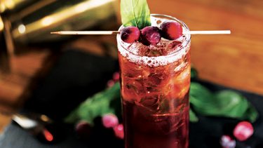 Cocktail aux canneberges et aux fruits du verger
