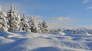 paysage hiver