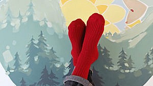 14 chaussettes pour se moquer de l'hiver