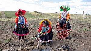 Femmes Pérou